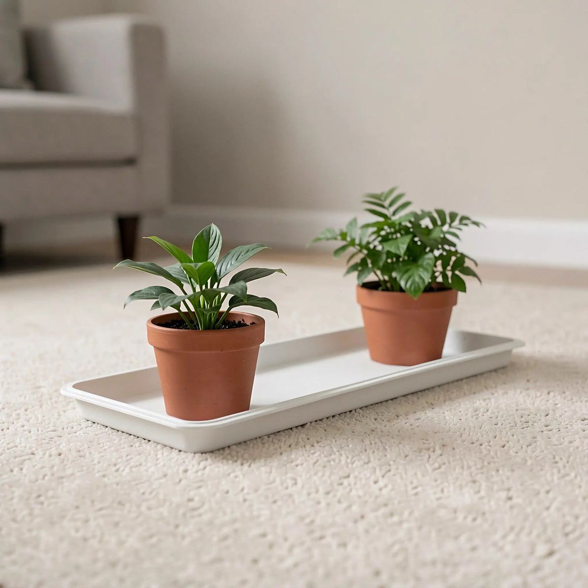 Rectangular Plastic Plant Tray – White Flower Pot Drip Saucer Plant Drip Tray SWANS Default Title