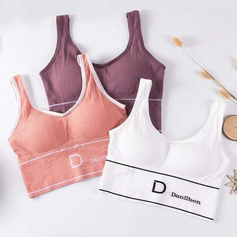 Women's Seamless Padded Sports Bra – Yoga Crop Top Vest Sports Bra Crop Top SWANS