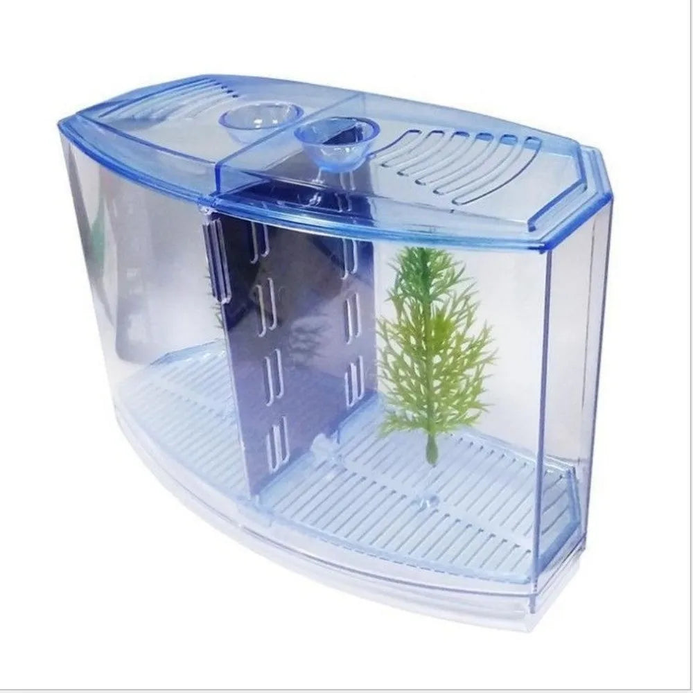 Transparent Betta Fish Isolation Box – Single & Double Grid Fish Breeder Box SWANS