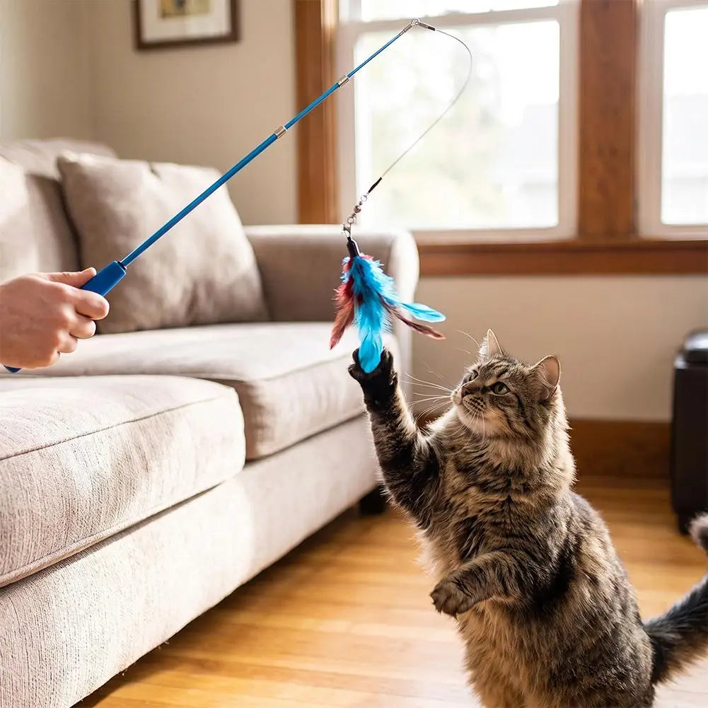 11-Piece Retractable Cat Wand Toy Set – 10 Feather Heads Cat Wand Toy Set SWANS