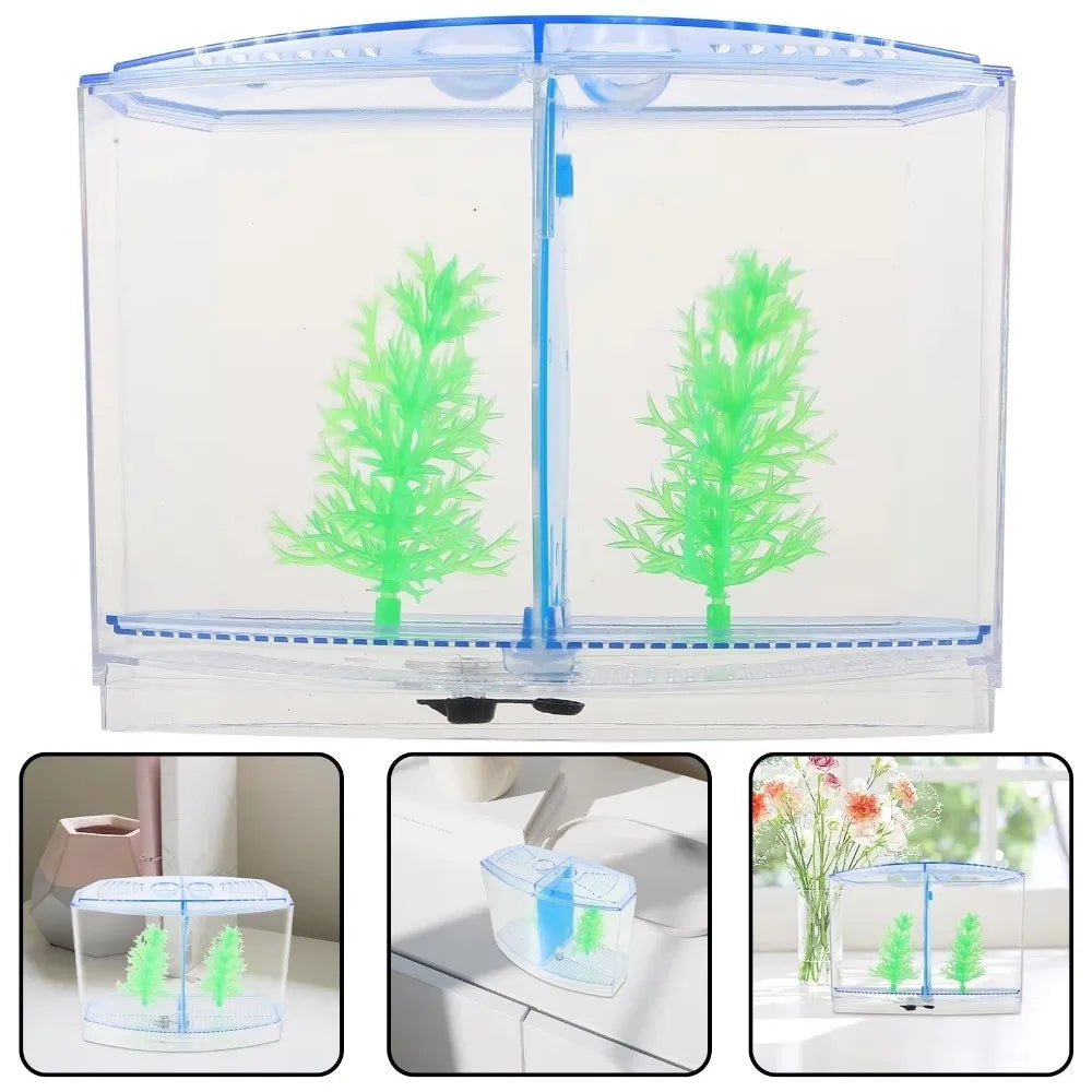Transparent Betta Fish Isolation Box – Single & Double Grid Fish Breeder Box SWANS
