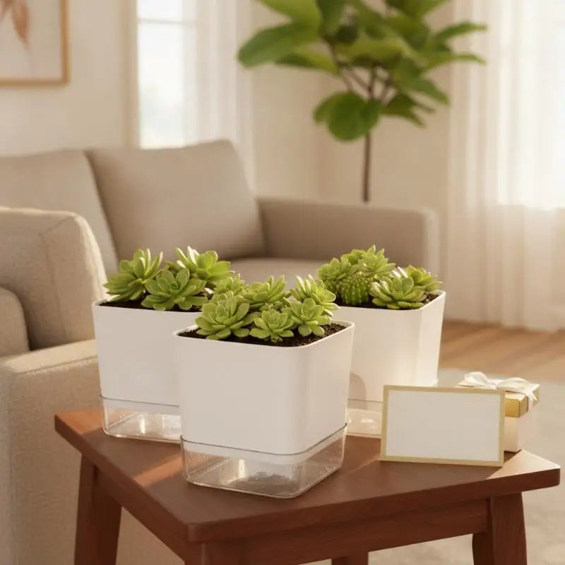 SWANS Self-Watering Square Plant Pot – Double Layer Indoor Outdoor Self-Watering Planter SWANS