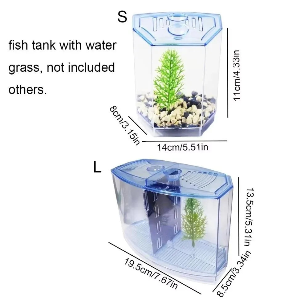 Transparent Betta Fish Isolation Box – Single & Double Grid Fish Breeder Box SWANS