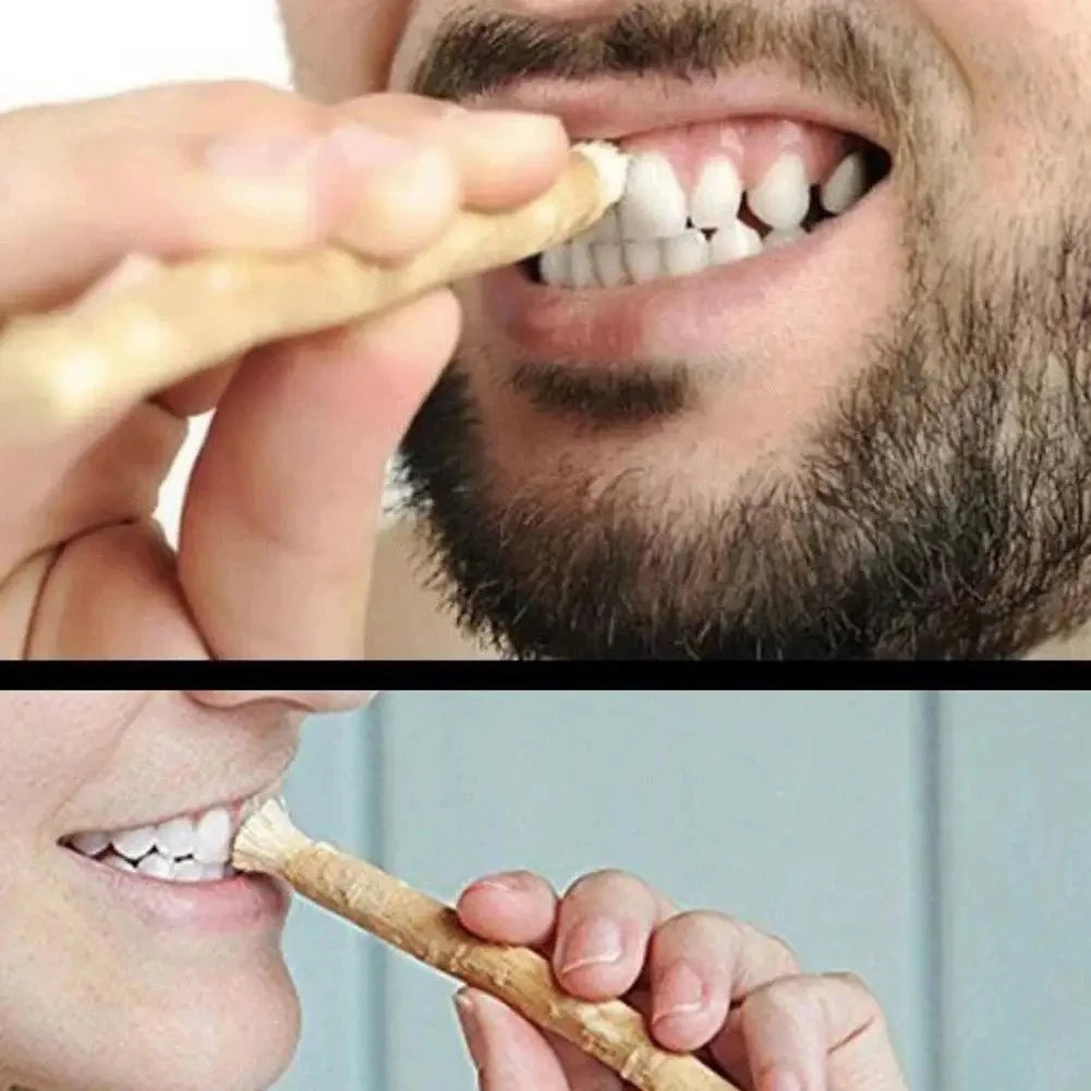 Miswak Natural Chewing Stick – Portable Teeth Whitener Natural Toothbrush SWANS