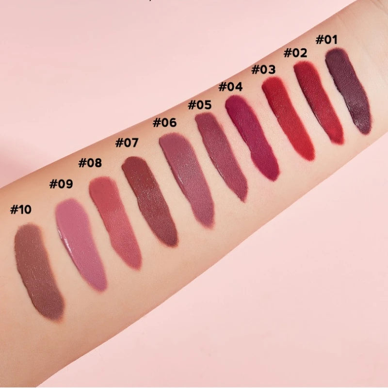 TVLV 10-Piece Matte Satin Lip Color Set – Waterproof Gift Box Lip Color Set SWANS