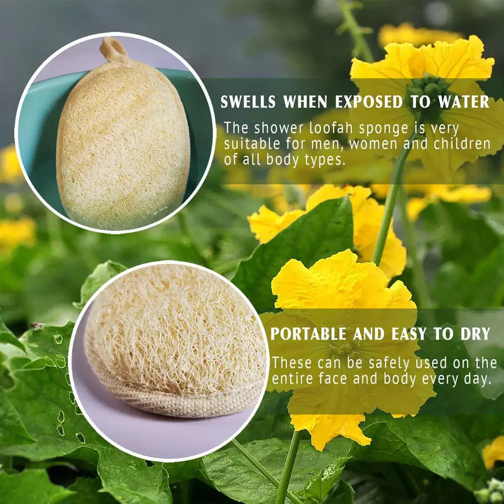 Luffa Exfoliating Bath Scrub Towel 1/3/6 Pack | SWANS Exfoliating Bath Scrub SWANS