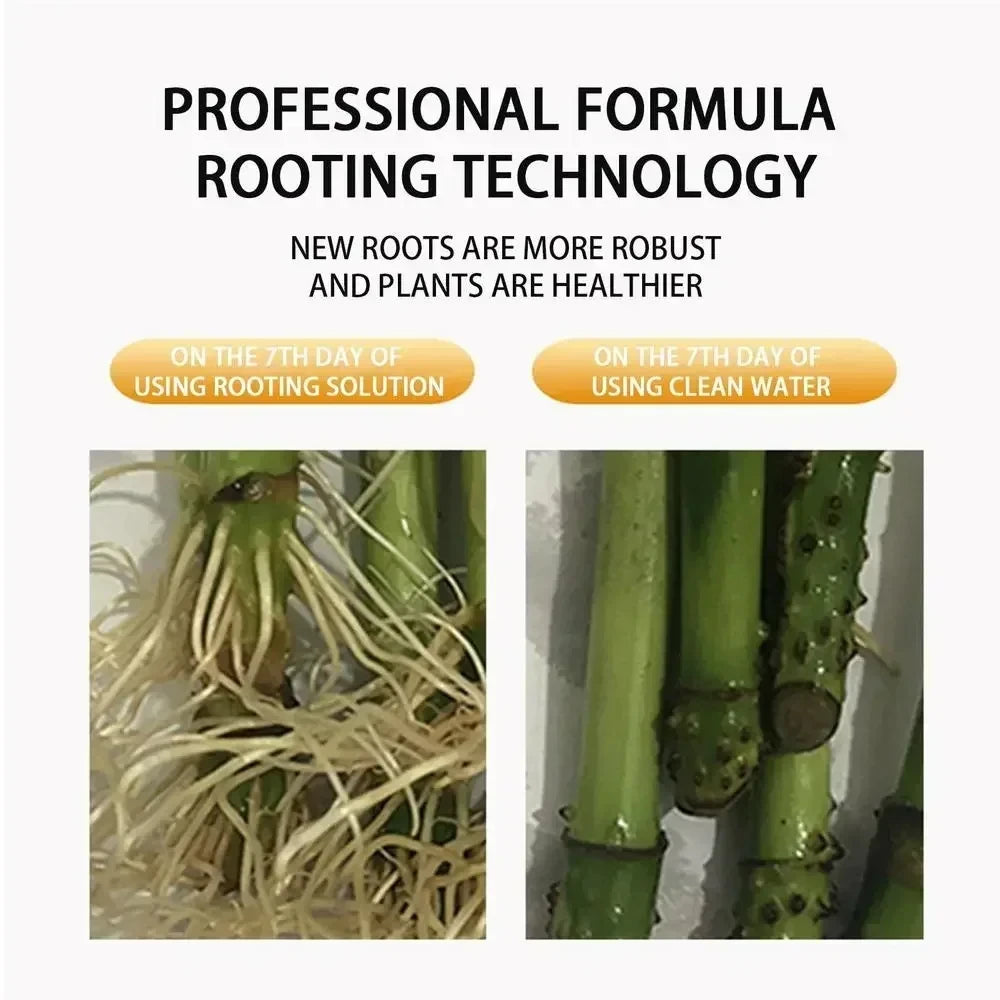 Liquid Rooting Hormone for Cuttings – Plant Growth Booster Liquid Rooting Hormone SWANS