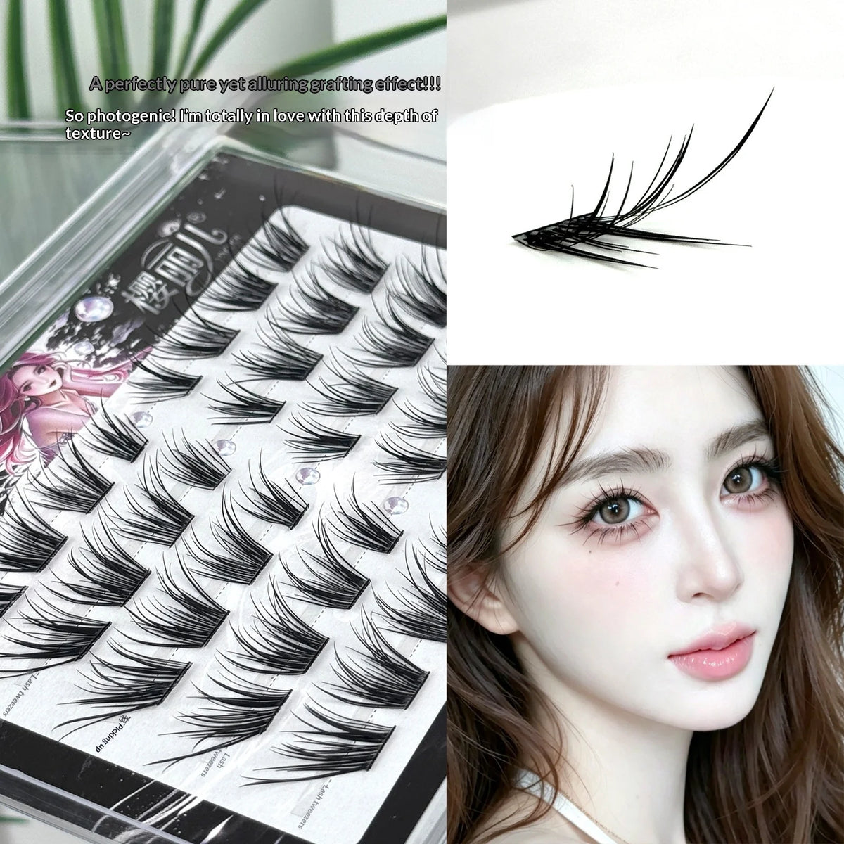 SWANS 6D Self-Adhesive Fox Lashes – Fluffy Wispy False Eyelashes False Eyelashes SWANS
