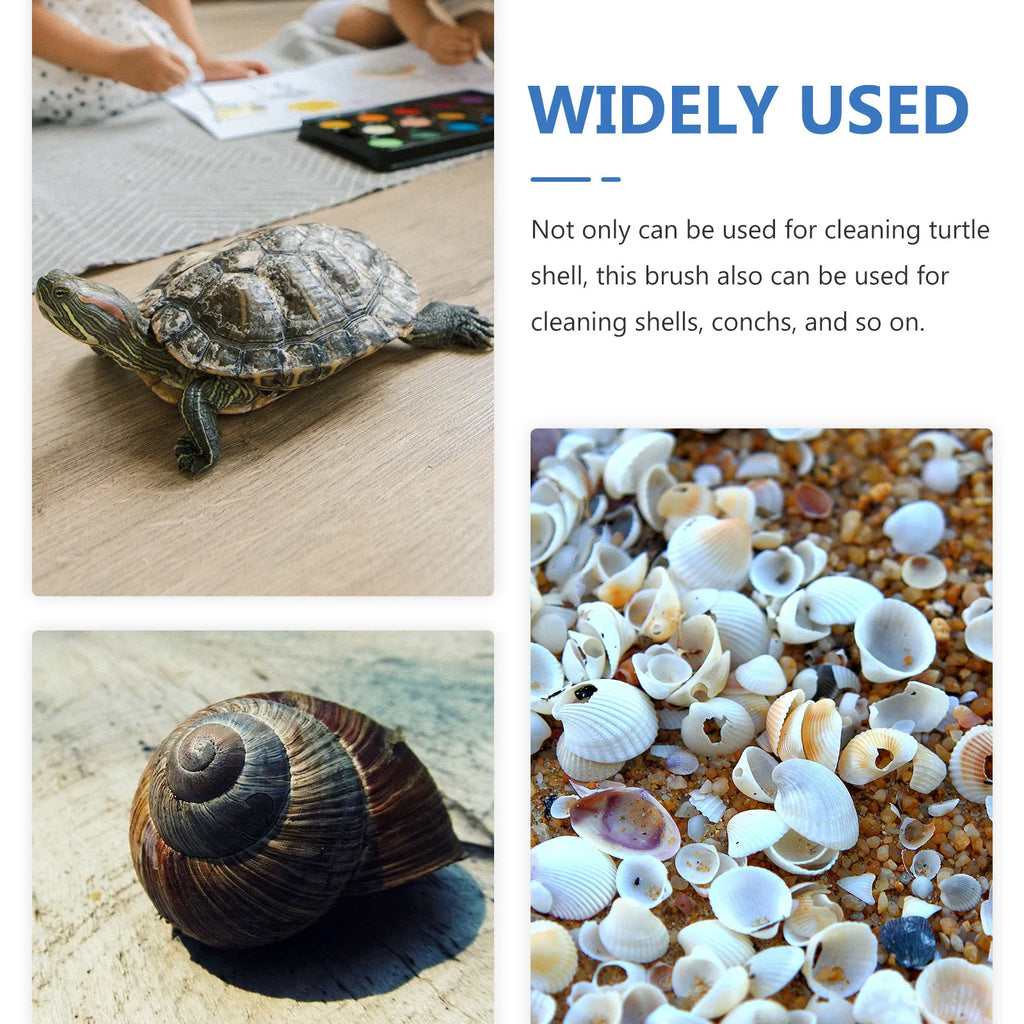 Turtle Shell Cleaning Brush – Double-Sided Ergonomic Scrubber Reptile Cleaning Brush SWANS