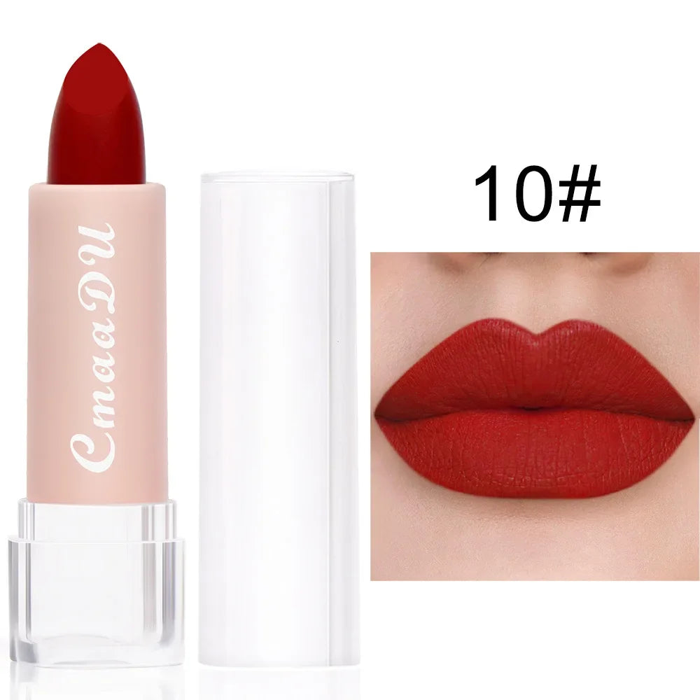 Velvet Matte Lipstick – Long-Lasting Waterproof, 15 Shades Matte Lipstick SWANS 10