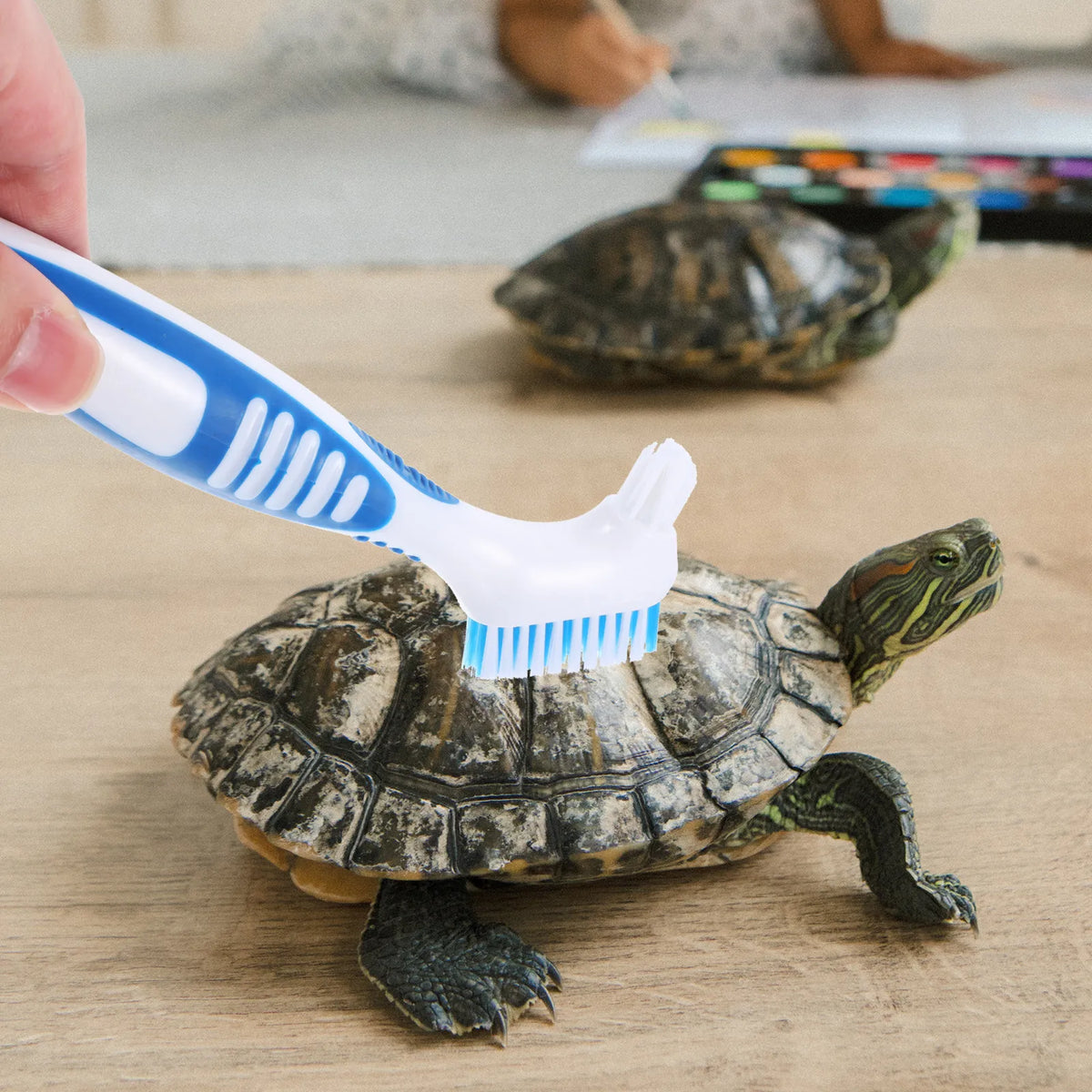 Turtle Shell Cleaning Brush – Double-Sided Ergonomic Scrubber Reptile Cleaning Brush SWANS