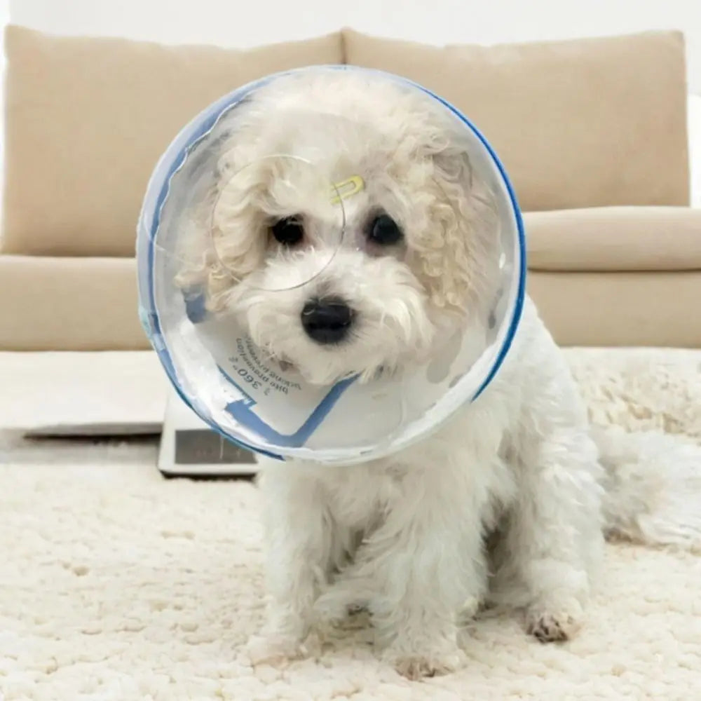 Transparent Astronaut Helmet Cat Muzzle – Breathable S–XXL Cat Grooming Muzzle SWANS