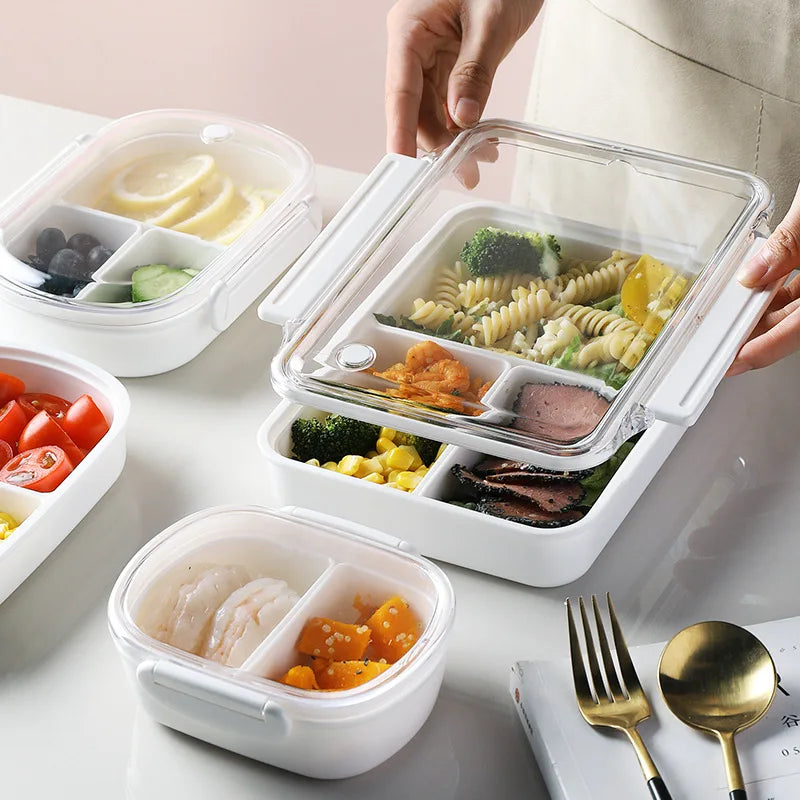 SWANS Divided Lunch Box – Portable Sealed Food Storage Container Divided Lunch Box SWANS