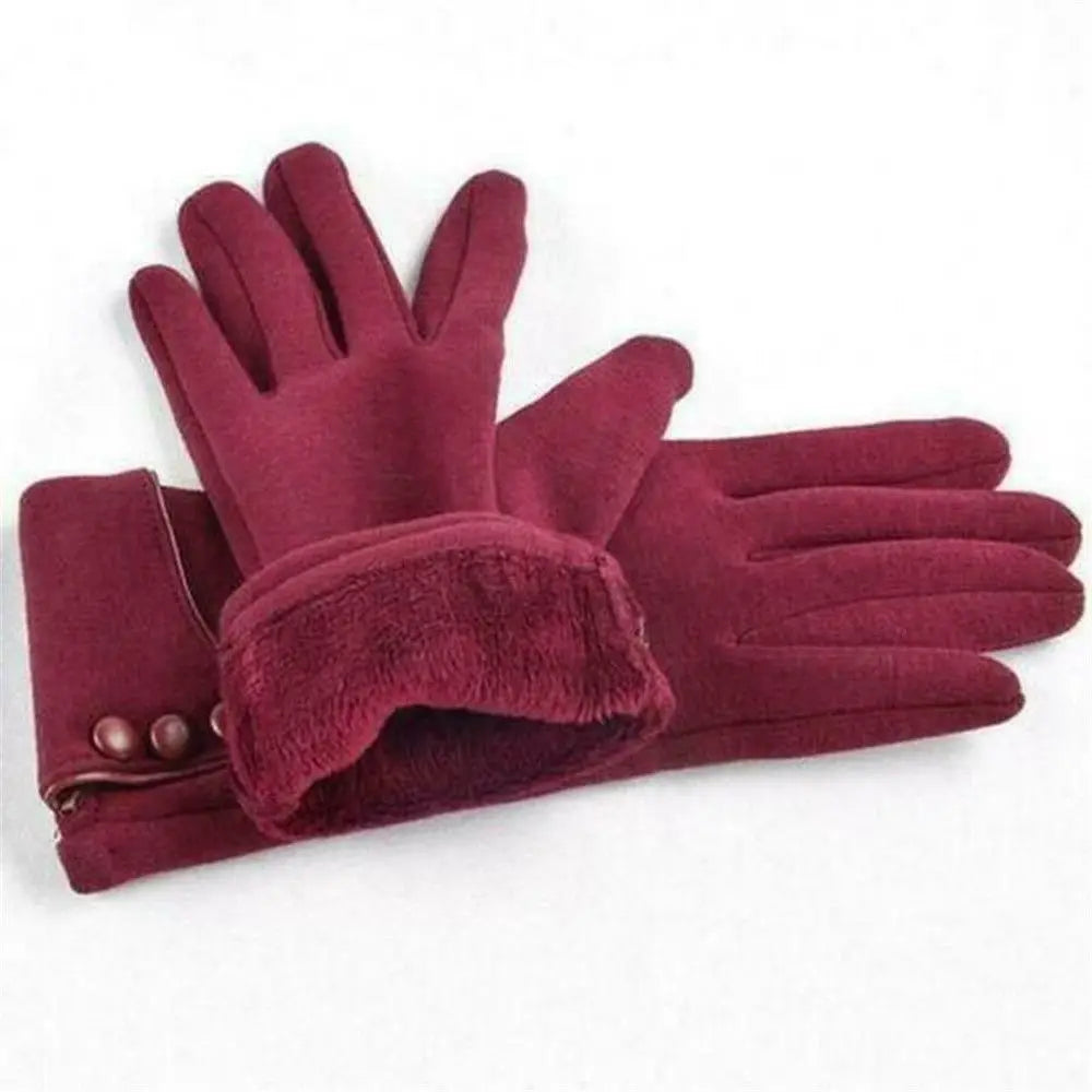 Women's Windproof Touch Screen Winter Gloves – Velvet Warm Winter Touch Gloves SWANS