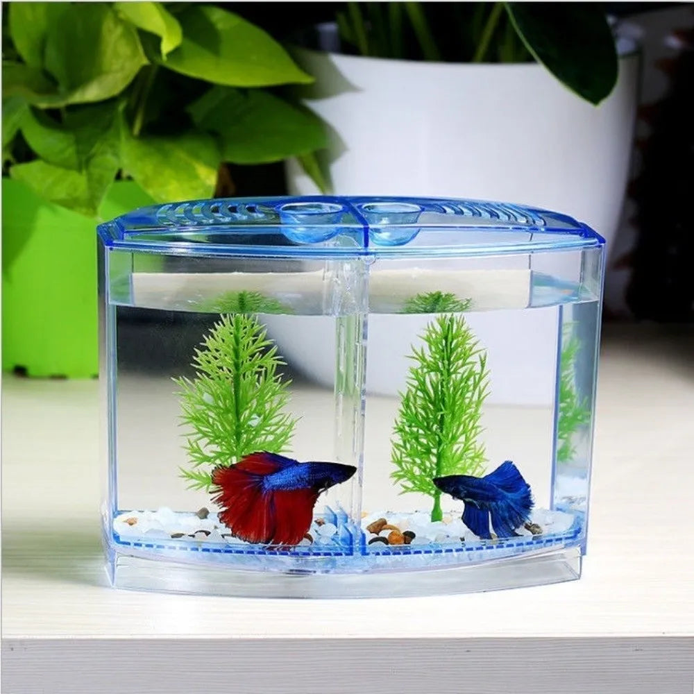 Transparent Betta Fish Isolation Box – Single & Double Grid Fish Breeder Box SWANS