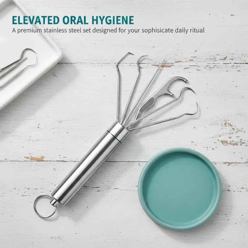 Reusable Stainless Steel Toothpick Set – Portable Storage Kit Oral Care Tool Kit SWANS