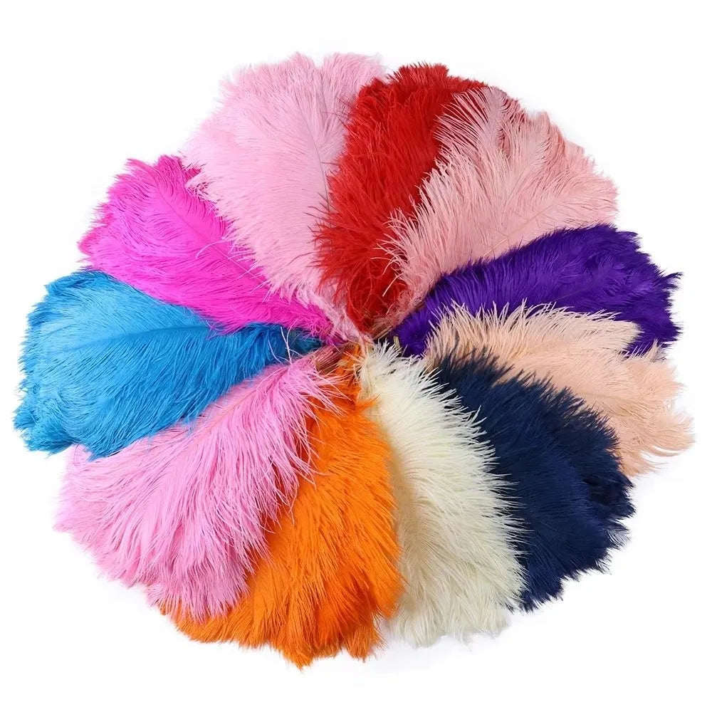 10-Pack Ostrich Feathers 15–20cm | DIY Decor, Wedding & Crafts Craft Feathers SWANS