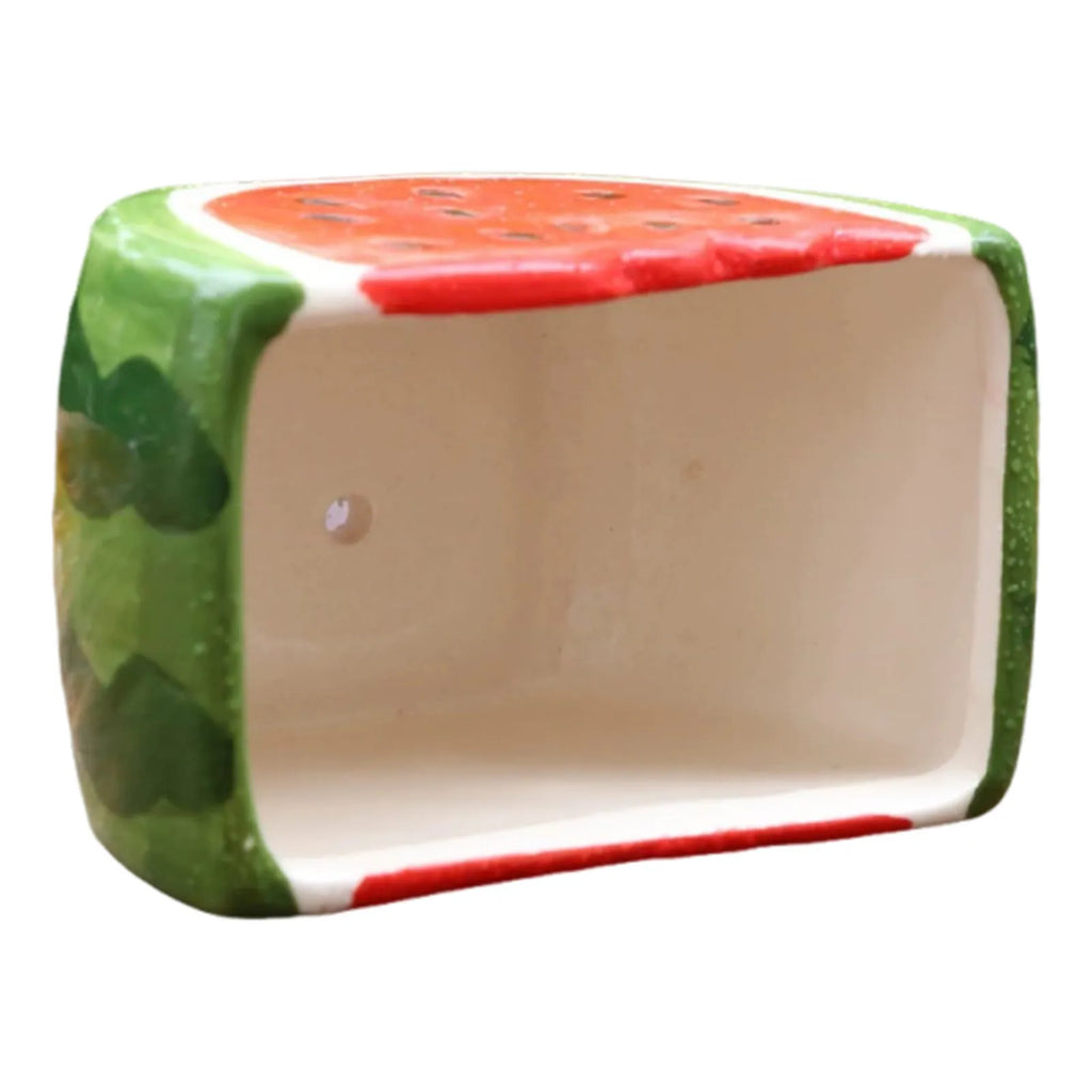 Ceramic Watermelon Planter – Small Succulent & Cactus Pot Ceramic Succulent Planter SWANS