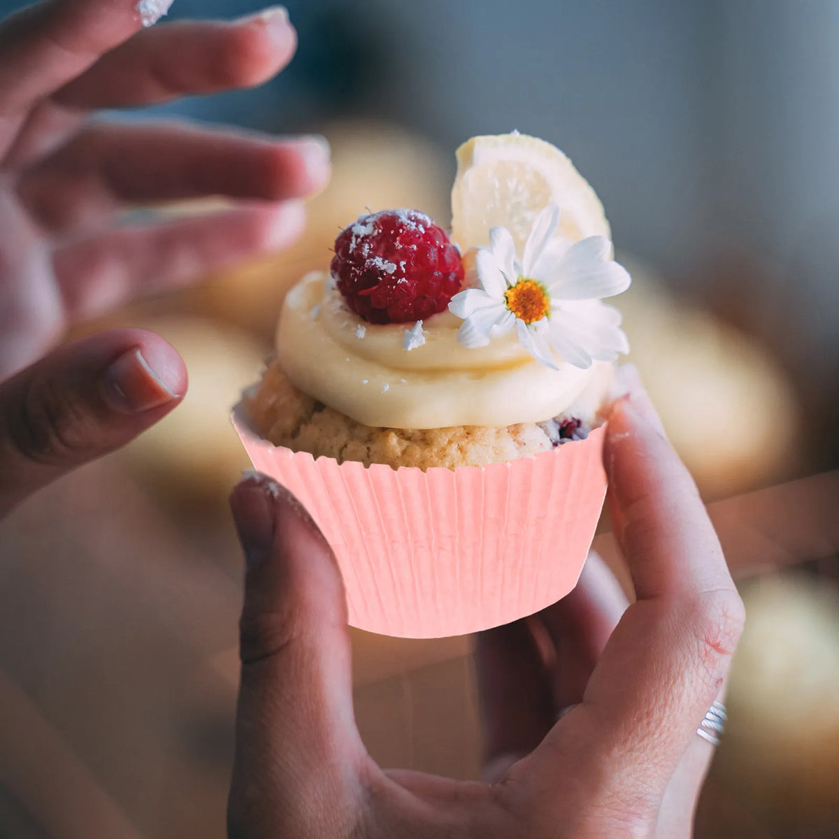300-Pack Disposable Cupcake Liners – Decorative Paper Muffin Cups Cupcake Liners SWANS