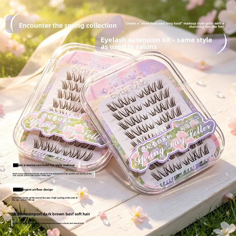 Dark Brown Pre-Glued Cluster False Lashes – Wispy & Natural Individual Cluster Lashes SWANS