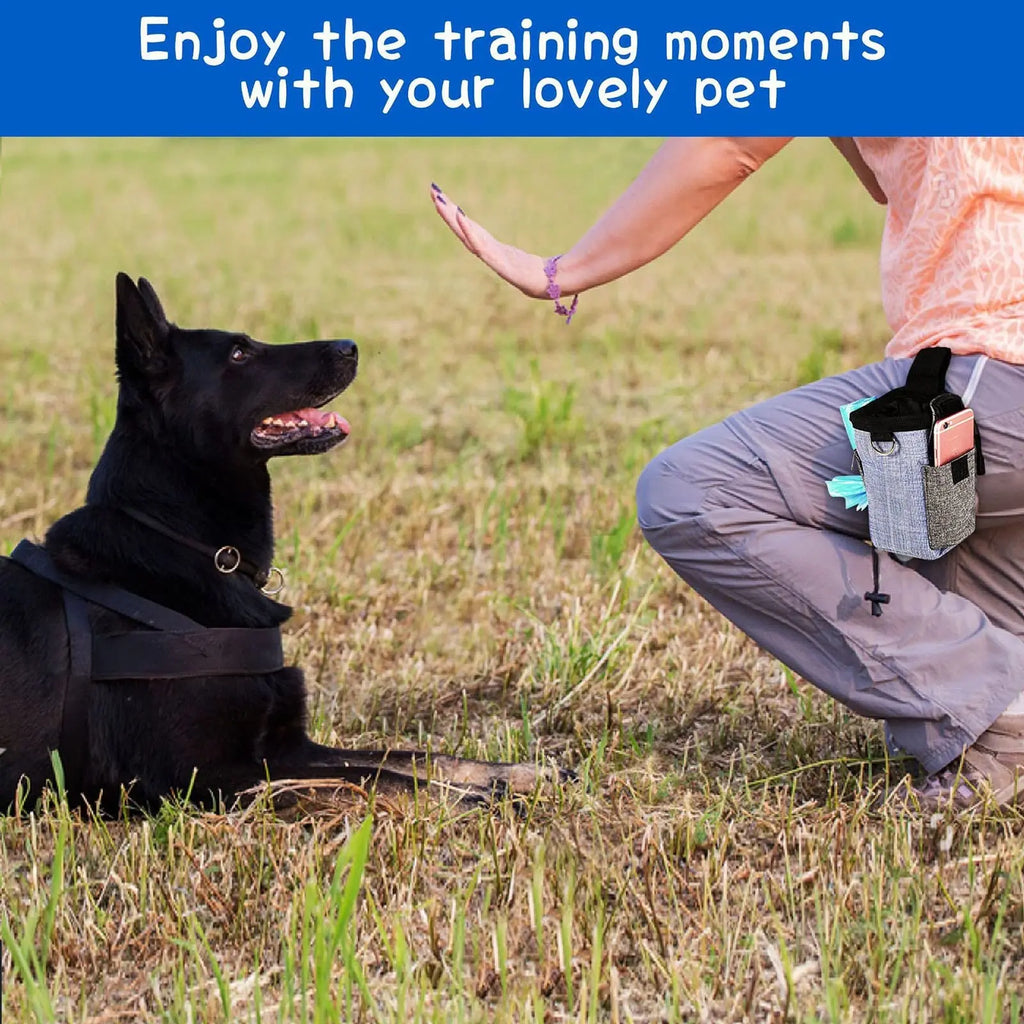 Waterproof Dog Treat Pouch with Poop Bag Dispenser & Belt Dog Training Pouch SWANS