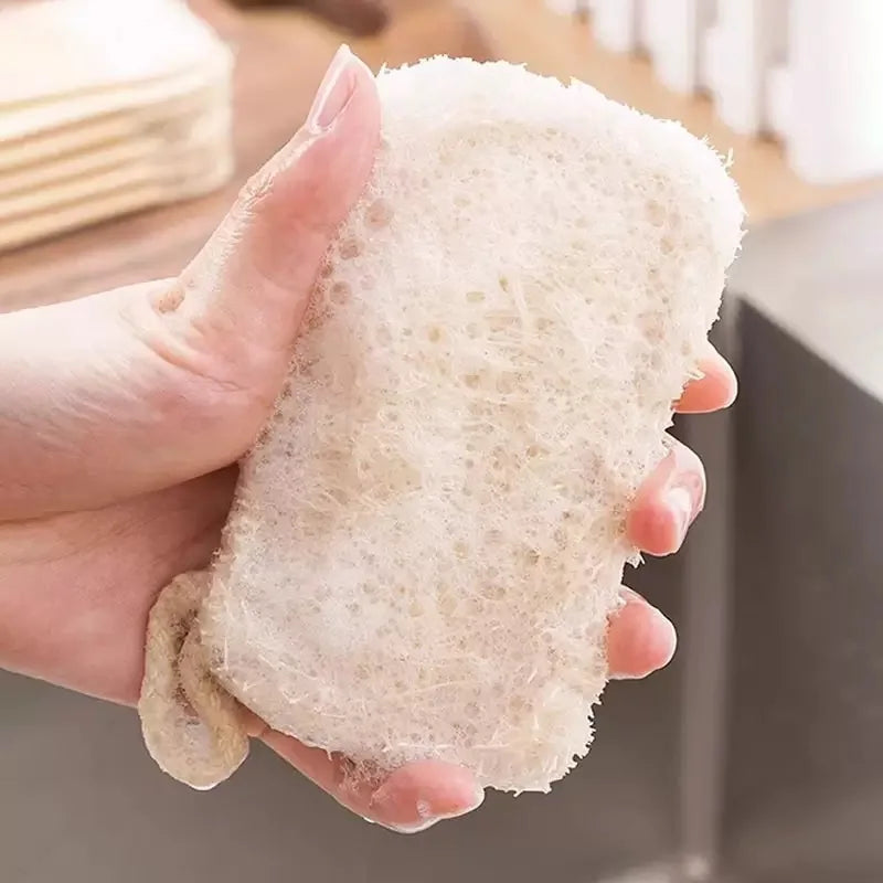 SWANS Natural Loofah Sponge – Eco Kitchen Scrubber 1/5/10 Pack Kitchen Loofah Scrubber SWANS
