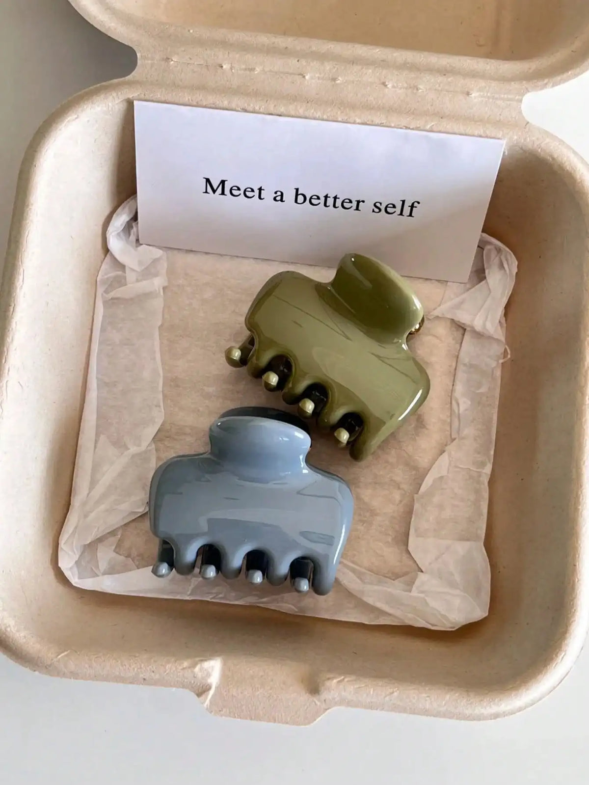 Women's Minimalist Small Hair Claw Clips – Glossy Acrylic 1/2 Pack Hair Claw Clip SWANS 2PCS