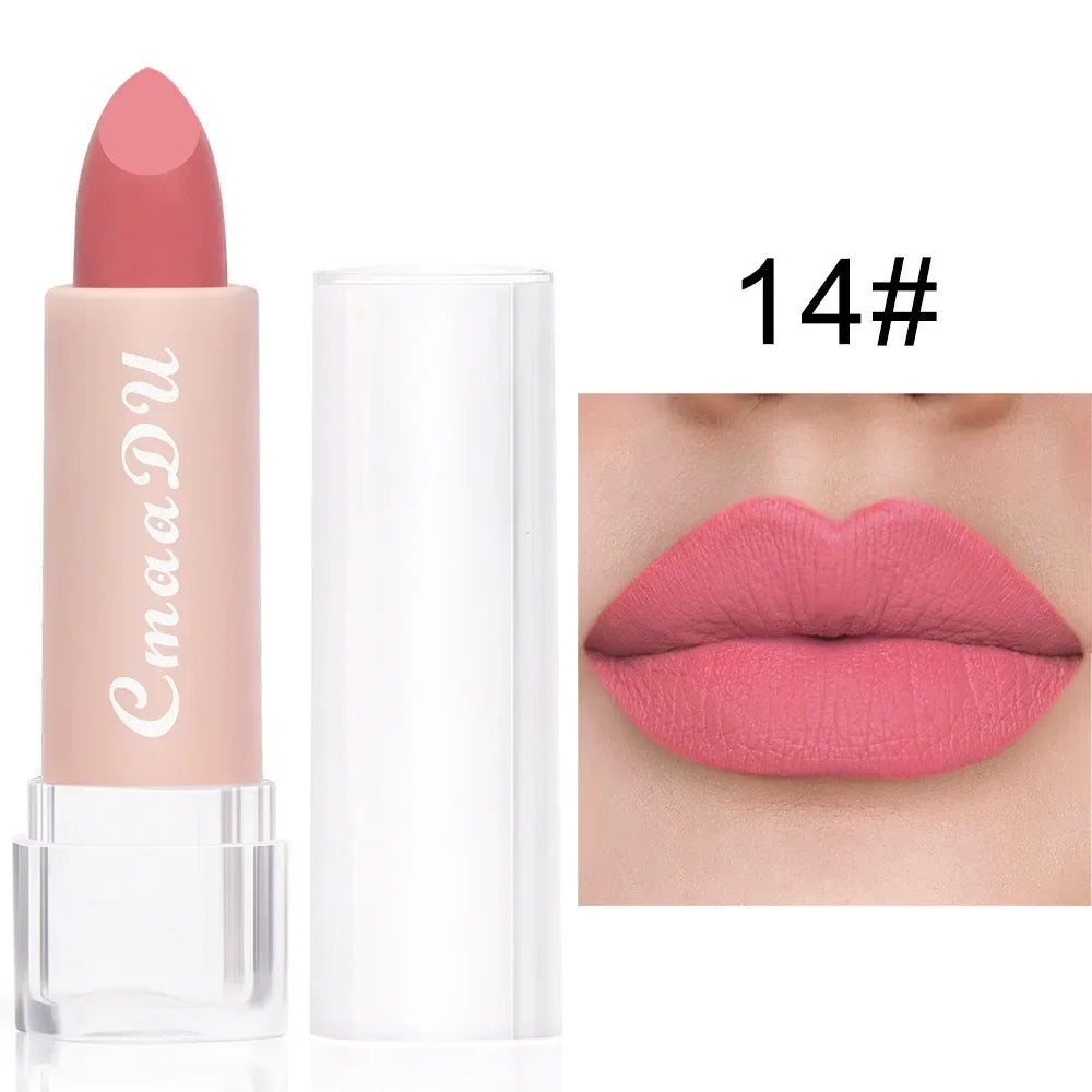 Velvet Matte Lipstick – Long-Lasting Waterproof, 15 Shades Matte Lipstick SWANS 14