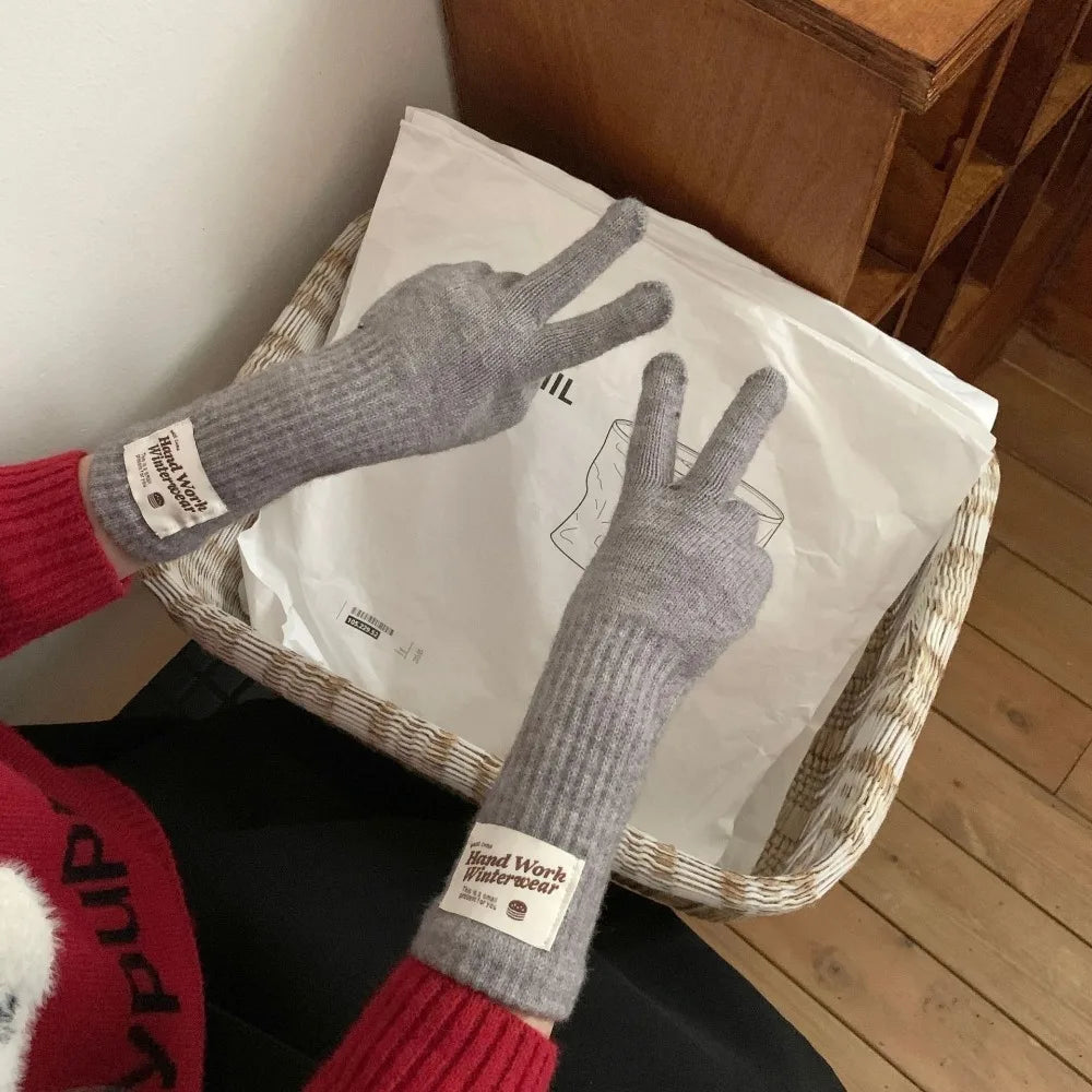 Windproof Touch Screen Knitted Gloves – Thermal Riding Gloves Winter Knitted Gloves SWANS
