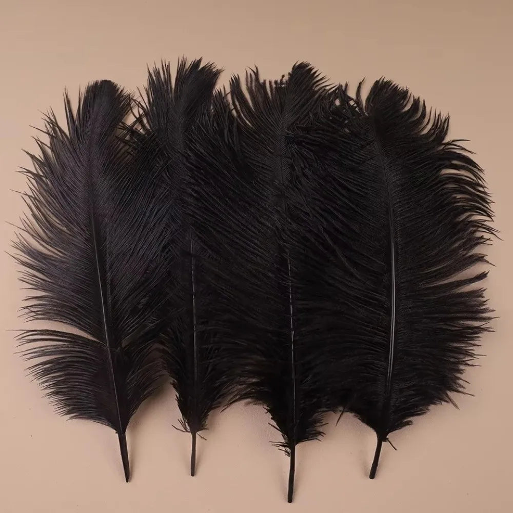 10-Pack Ostrich Feathers 15–20cm | DIY Decor, Wedding & Crafts Craft Feathers SWANS