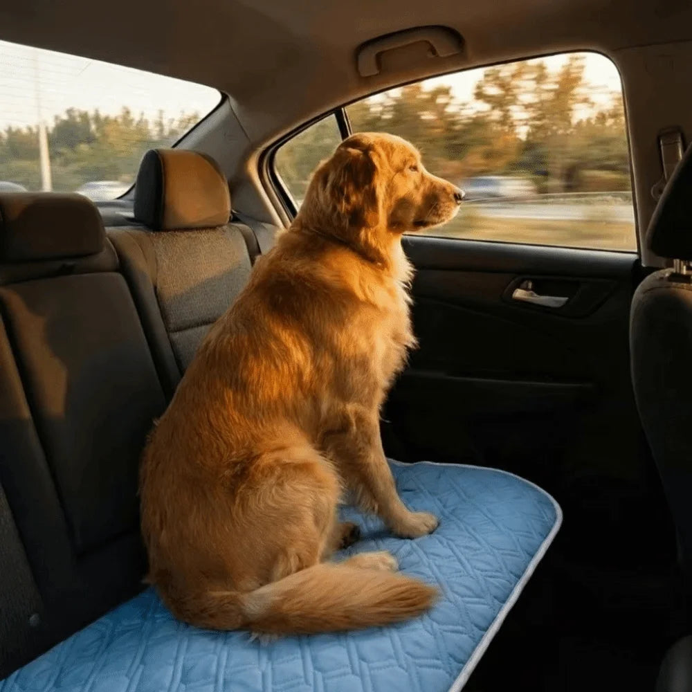Dog Cooling Mat – Ice Fabric Bed Pad for All Dog Sizes Pet Cooling Mat SWANS