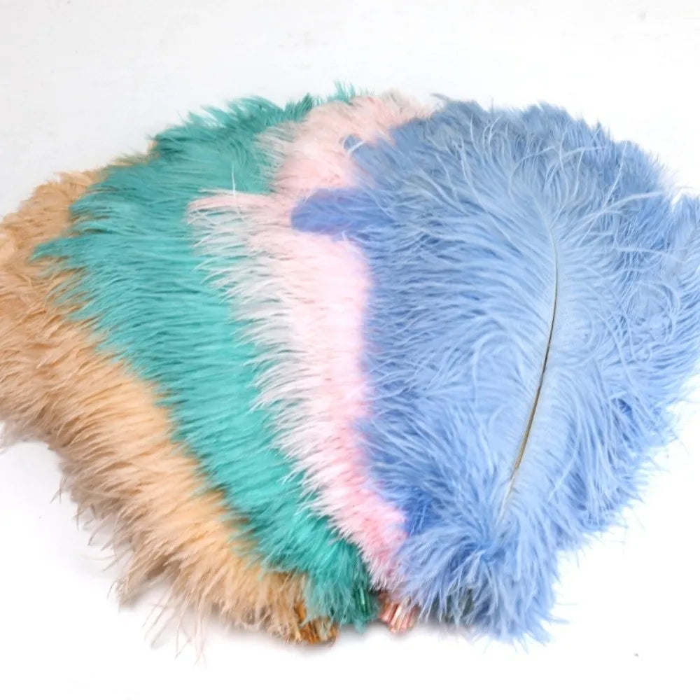 10-Pack Ostrich Feathers 15–20cm | DIY Decor, Wedding & Crafts Craft Feathers SWANS