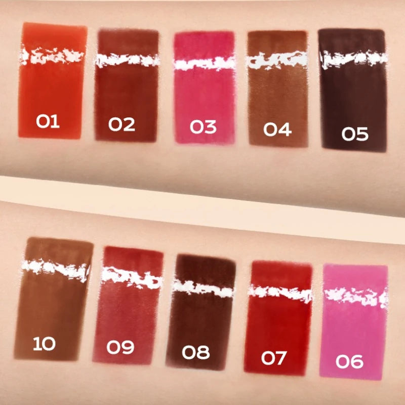 TVLV 10-Color Lip Gloss Set – Matte & Velvet Long-Lasting Tints Lip Gloss Set SWANS
