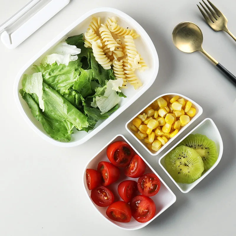 SWANS Divided Lunch Box – Portable Sealed Food Storage Container Divided Lunch Box SWANS