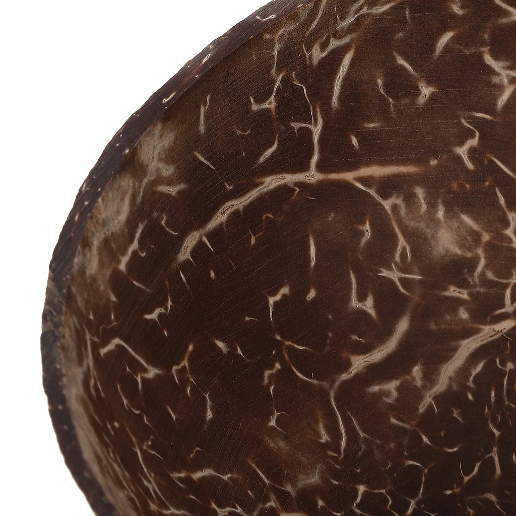Handmade Natural Coconut Shell Bowl – Food-Safe Serving Bowl Coconut Shell Bowl SWANS
