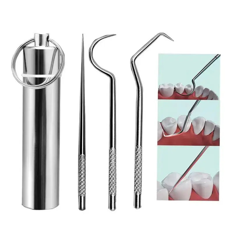 Reusable Stainless Steel Toothpick Set – Portable Storage Kit Oral Care Tool Kit SWANS
