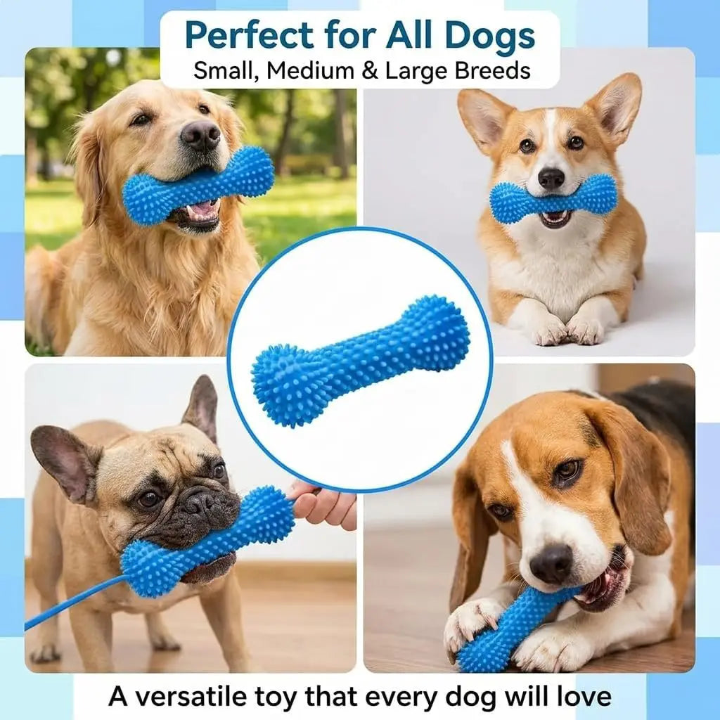 SWANS TPR Dog Chew Toy with Rope – Dental Stick 1/2 Pack Dog Chew Toy SWANS