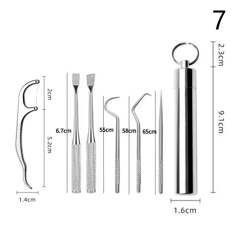 Reusable Stainless Steel Toothpick Set – Portable Storage Kit Oral Care Tool Kit SWANS 7