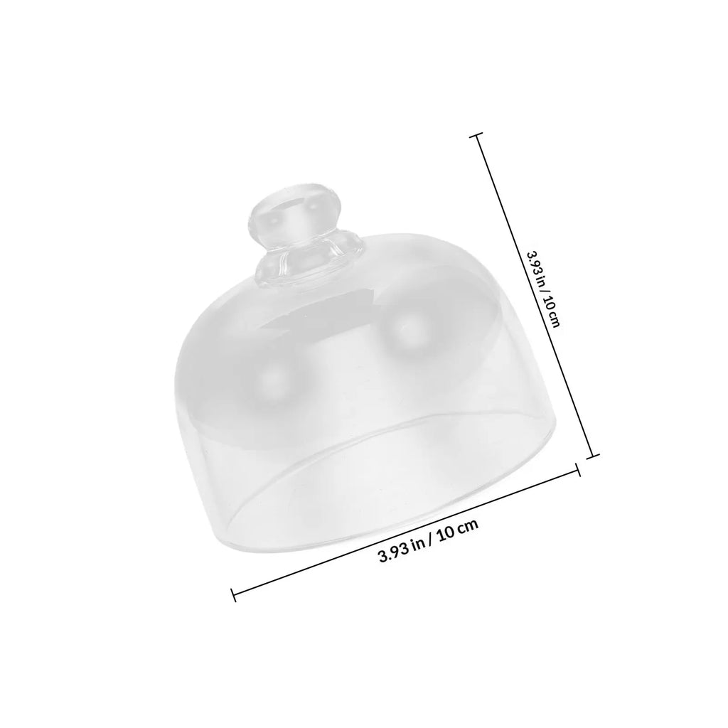 WINOMO Glass Cake Dome Cover – Transparent Dessert Protector Glass Cake Dome SWANS
