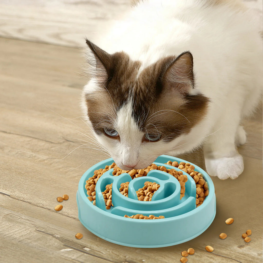SWANS Pet Slow Feeder Bowl – Non-Slip for All Pet Sizes Slow Feeder Bowl SWANS