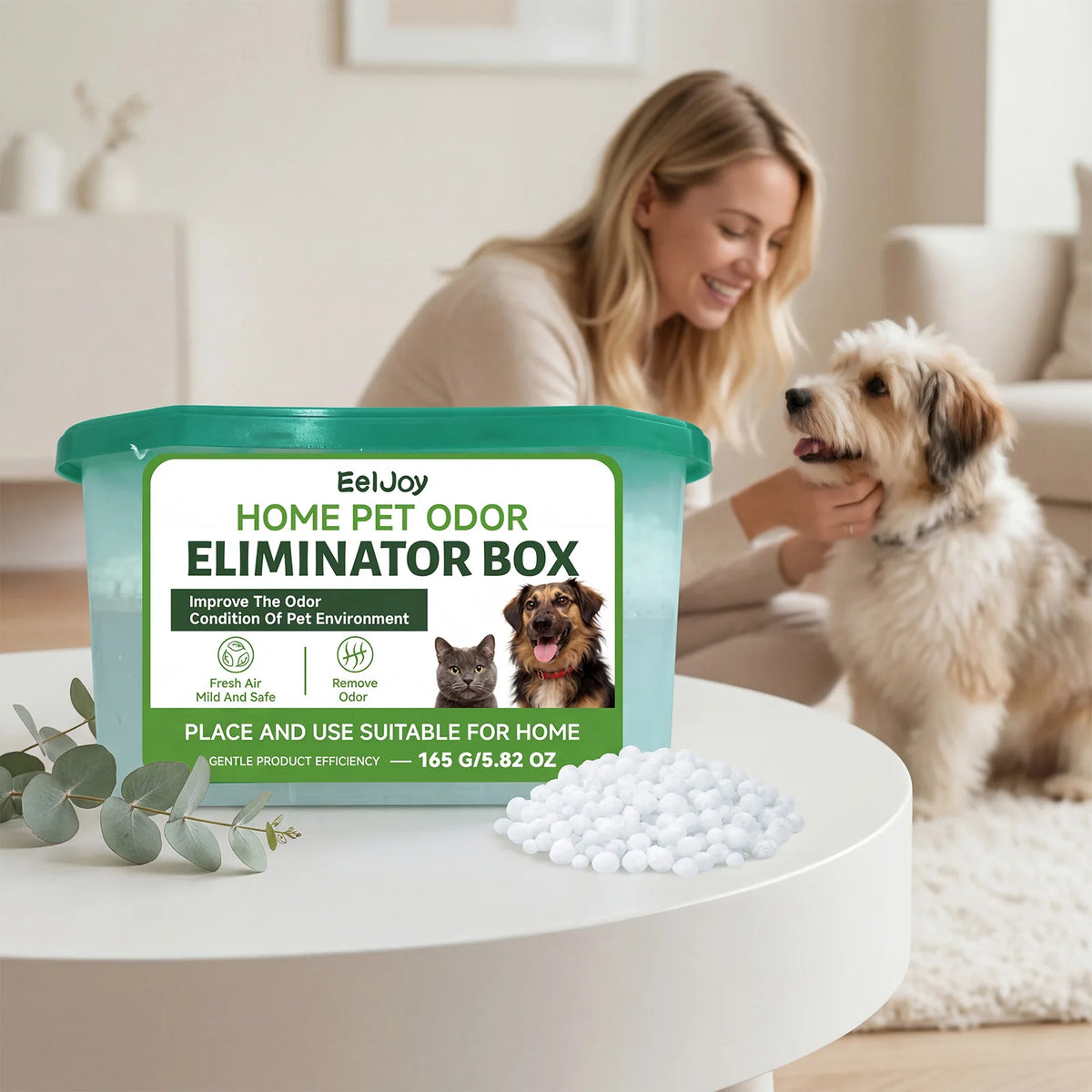 SWANS 165g Pet Odor Eliminator Box – Cat & Dog Deodorizer Pet Odor Eliminator SWANS Default Title