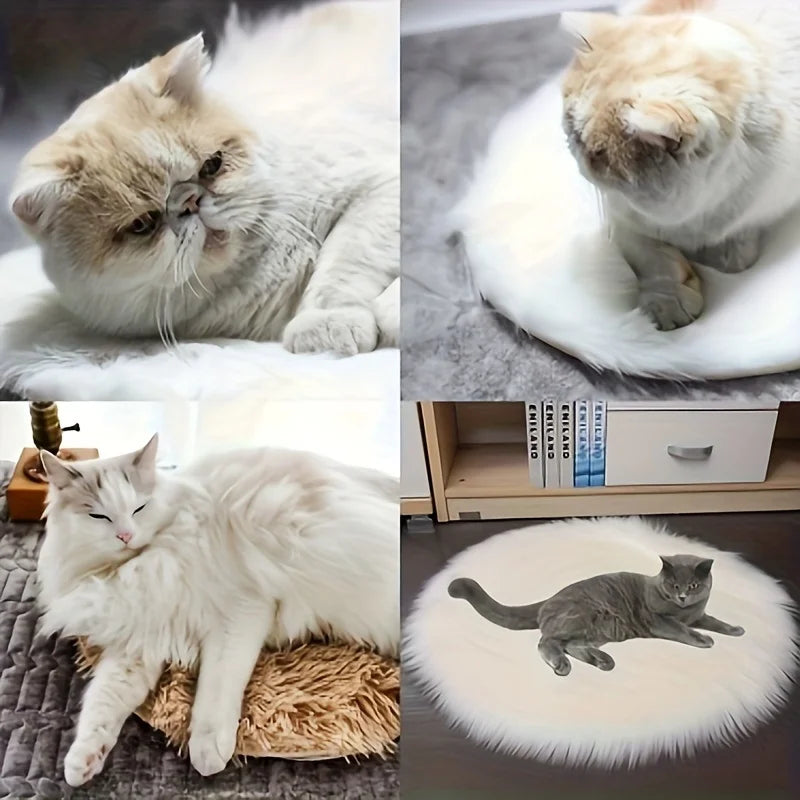 USB Electric Heated Pet Pad – Warm Plush Mat for Cats & Dogs Heated Pet Mat SWANS