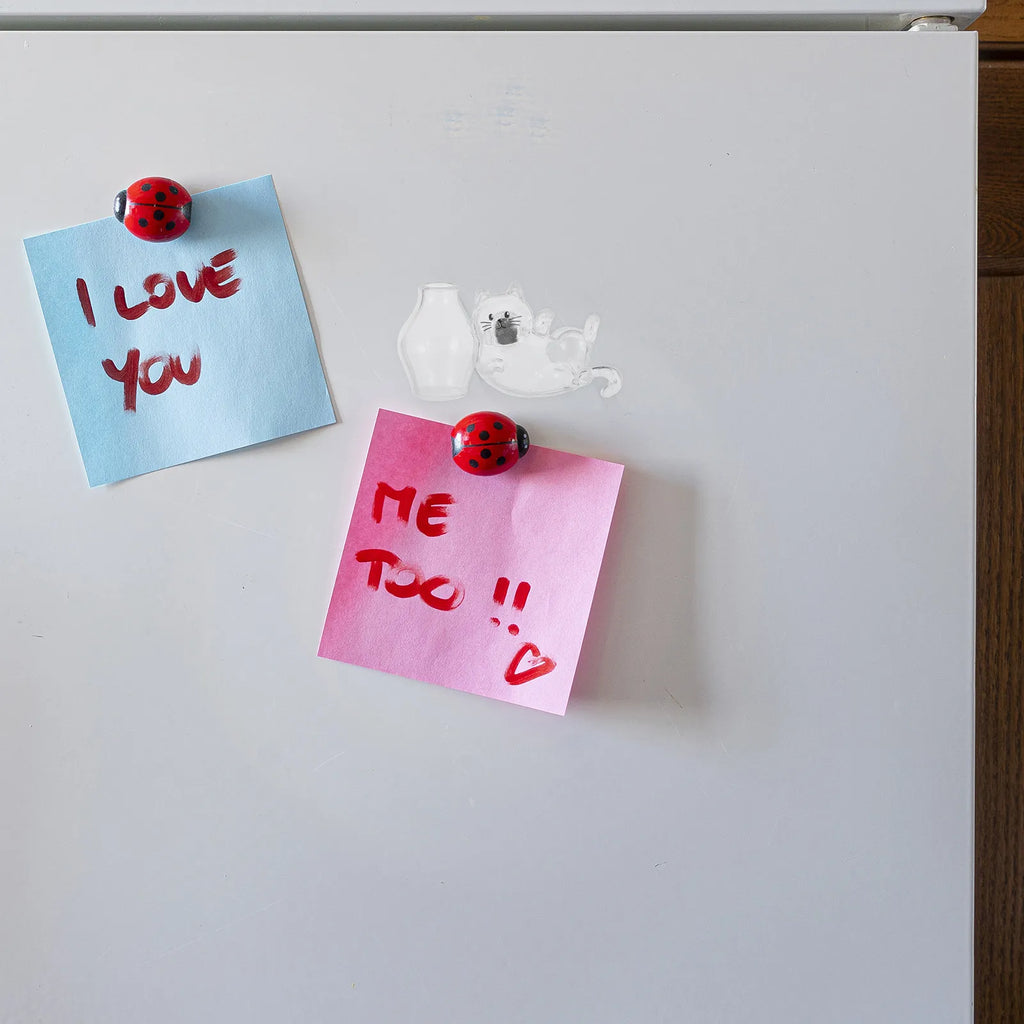 Cat Whisker Keepsake Vase – Acrylic Fridge Magnet Mini Holder Mini Keepsake Vase SWANS