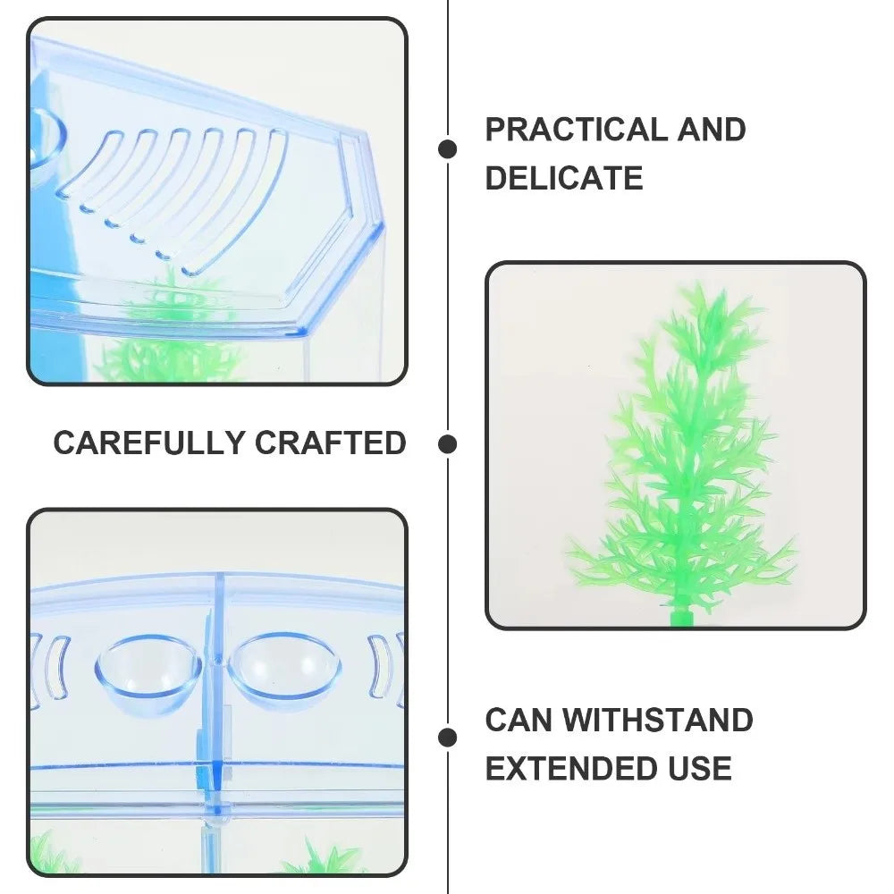 Transparent Betta Fish Isolation Box – Single & Double Grid Fish Breeder Box SWANS