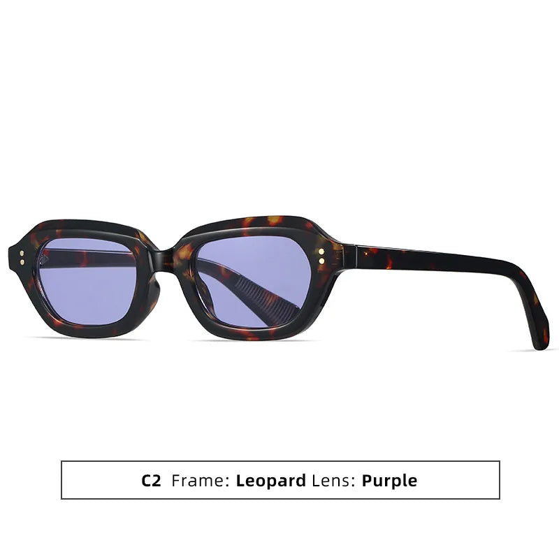 Y2K Rivet Irregular Sunglasses – Unisex Punk Vintage Shades Fashion Sunglasses SWANS Leopard Purple