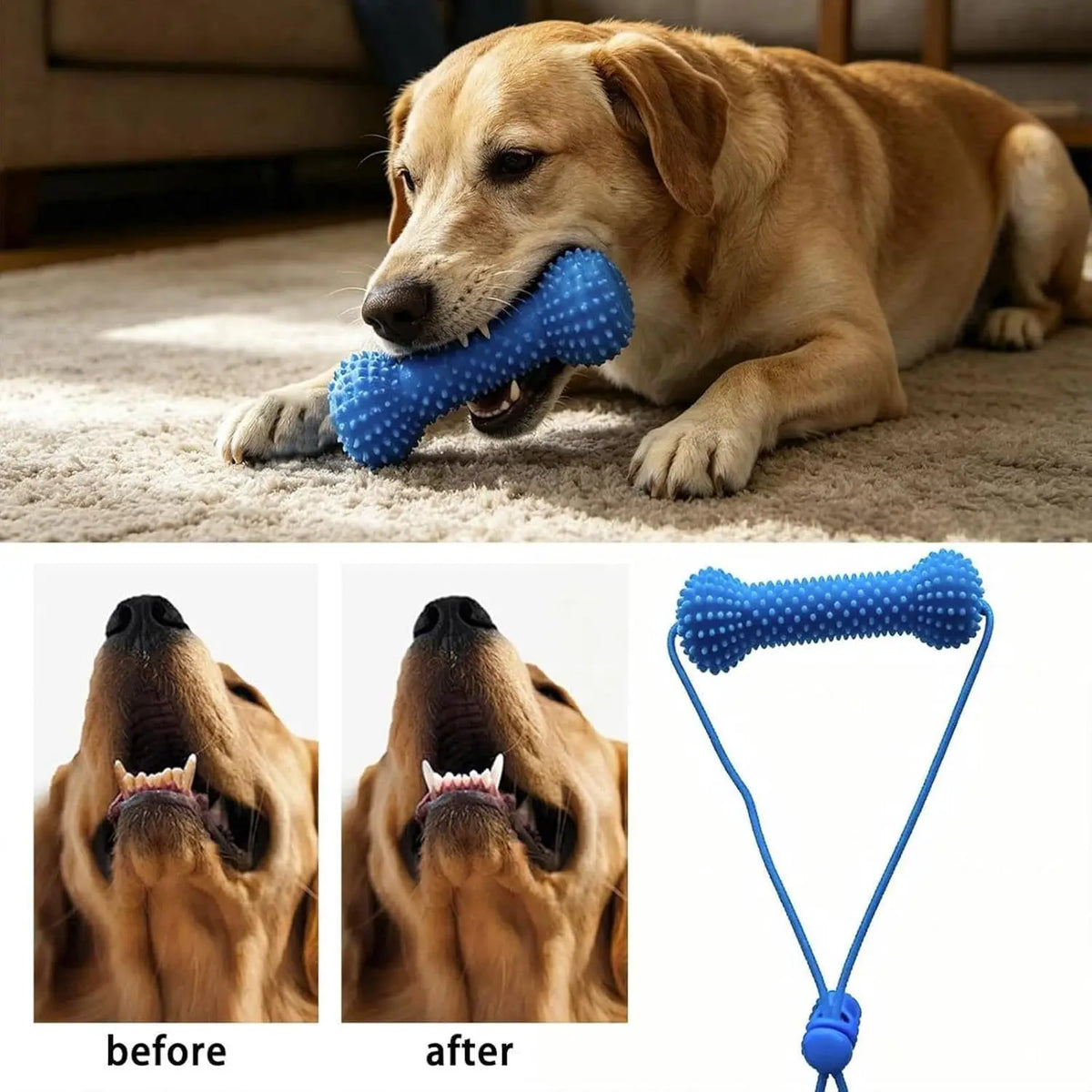 SWANS TPR Dog Chew Toy with Rope – Dental Stick 1/2 Pack Dog Chew Toy SWANS