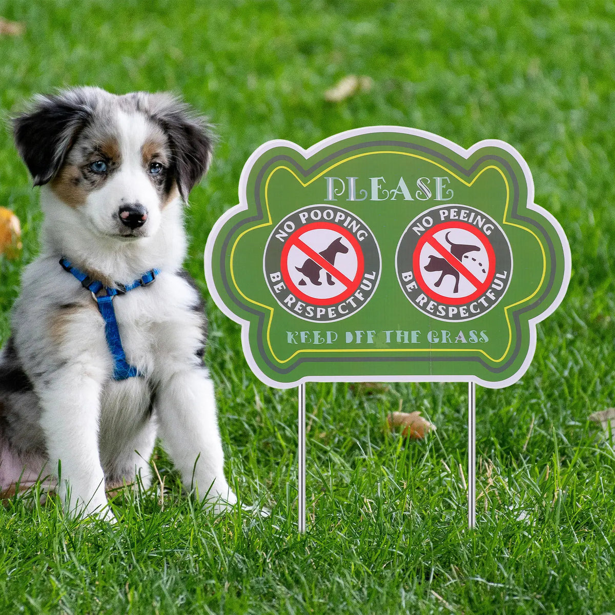 No Dog Pooping & Peeing Yard Sign – Funny Lawn Warning Yard Warning Sign SWANS