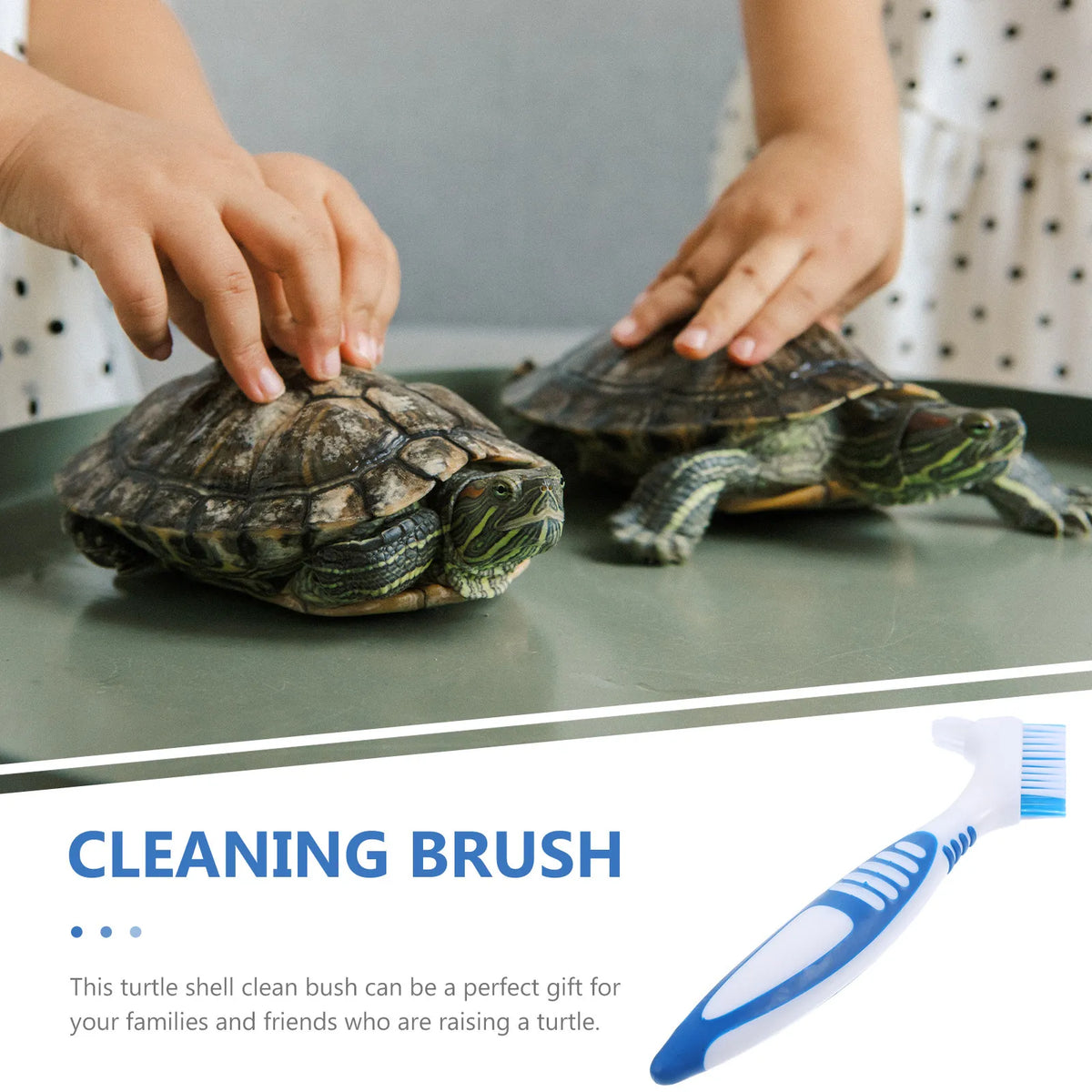 Turtle Shell Cleaning Brush – Double-Sided Ergonomic Scrubber Reptile Cleaning Brush SWANS