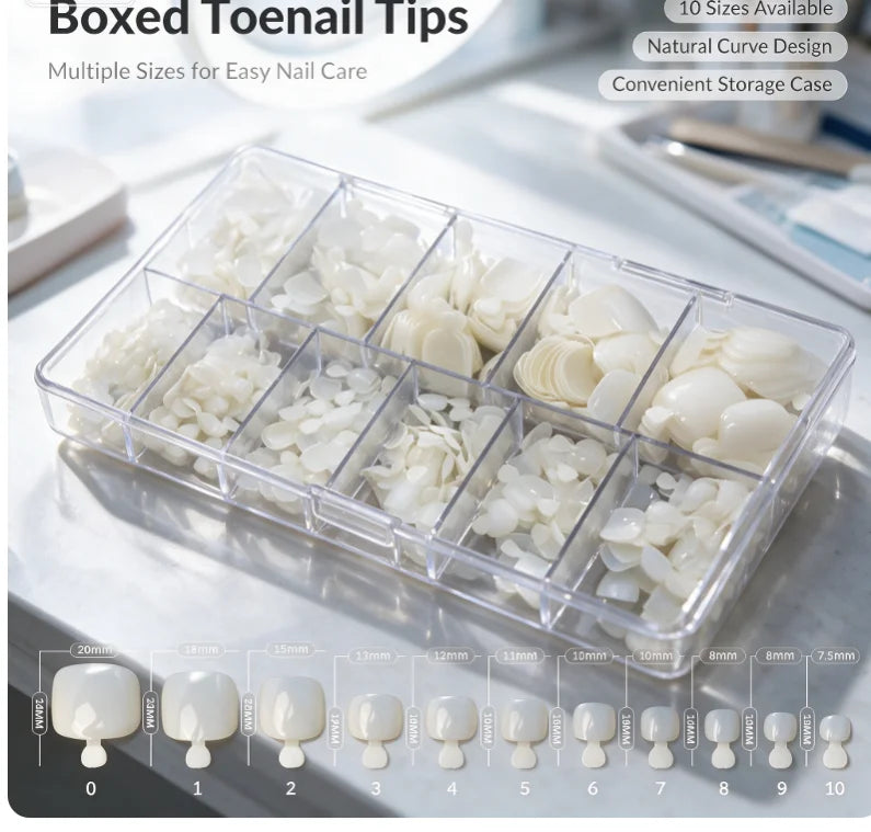 500PCS False Toenail Tips 11 Sizes – DIY Nail Art + Storage Box False Toenail Tips SWANS 1pcs