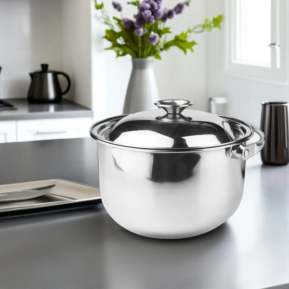 ROSENICE Stainless Steel Stockpot with Lid – 1.6L Soup Pot Stainless Steel Stockpot SWANS